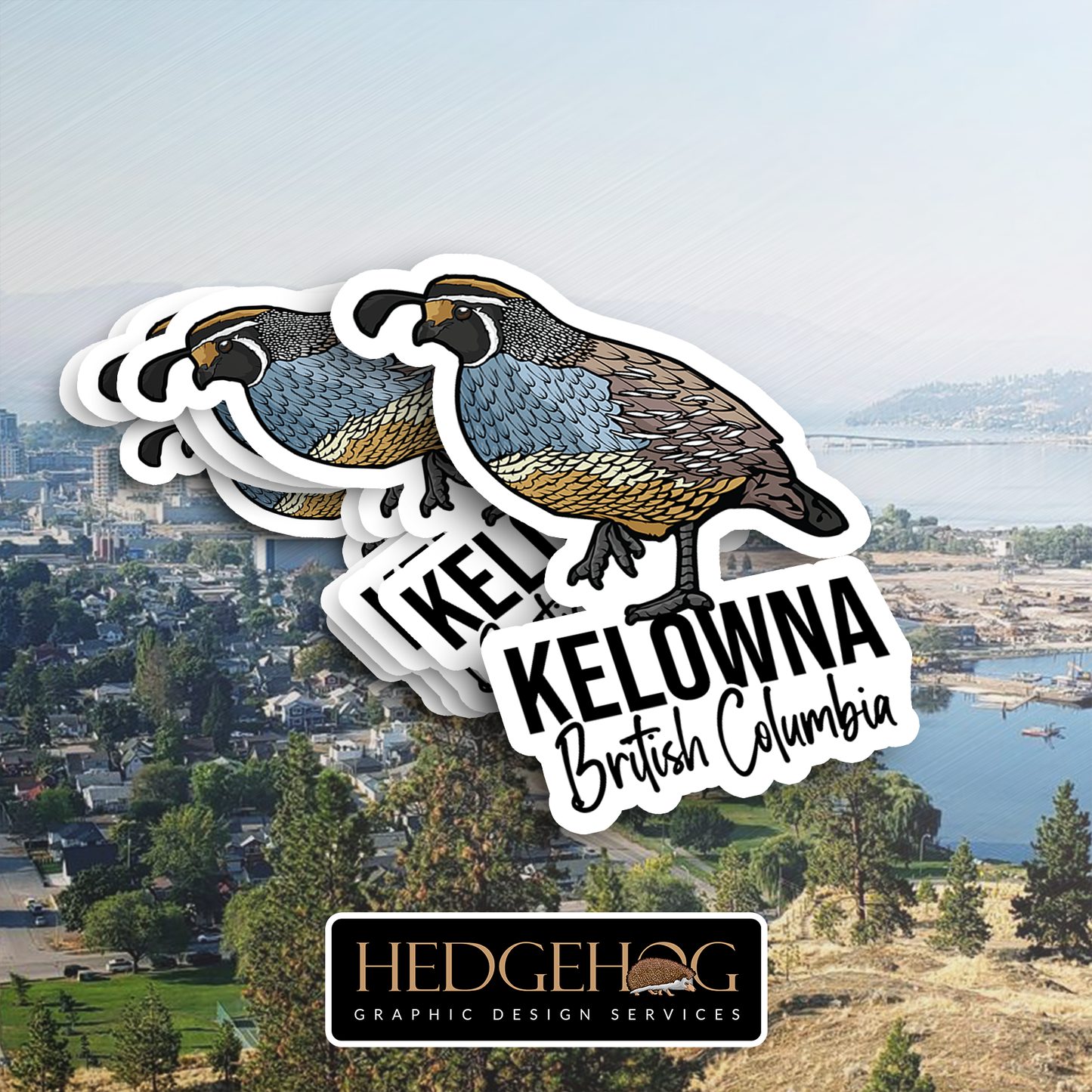 Kelowna Quail (Pack of 25)