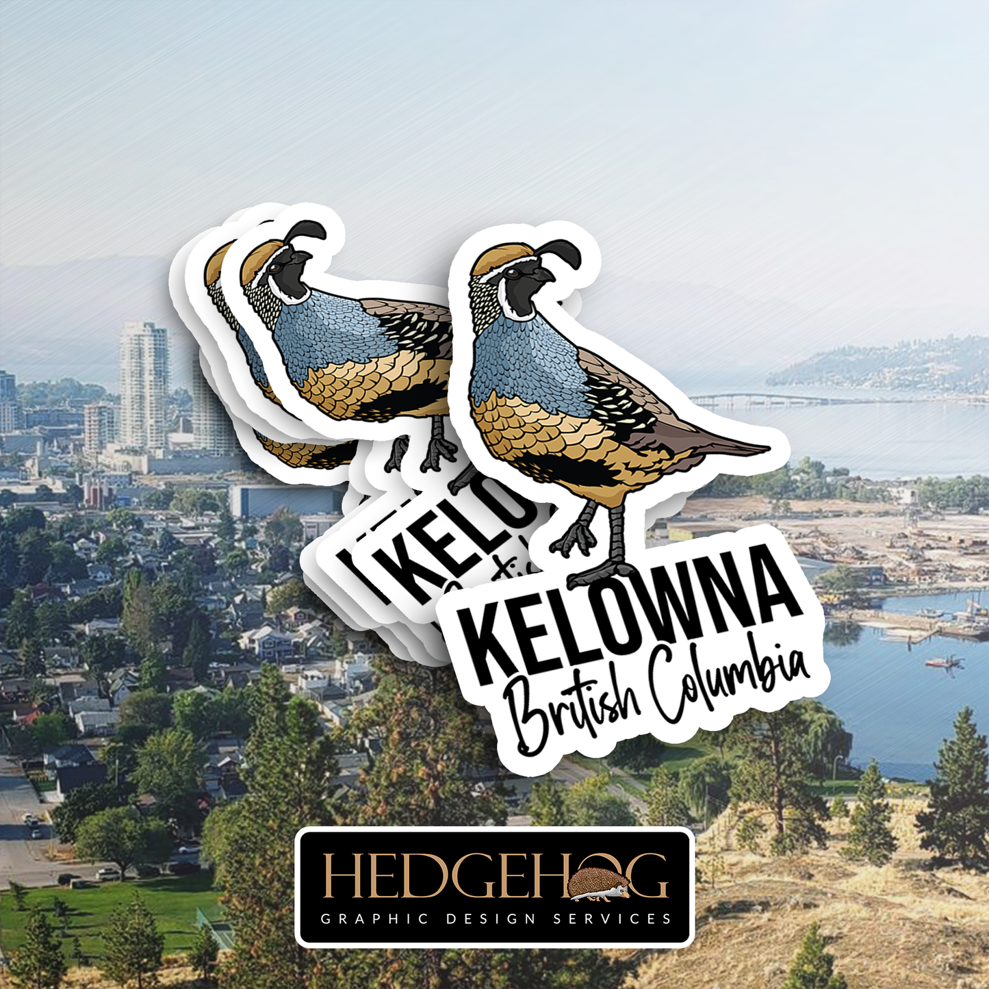 Kelowna Quail 3 (Pack of 25)