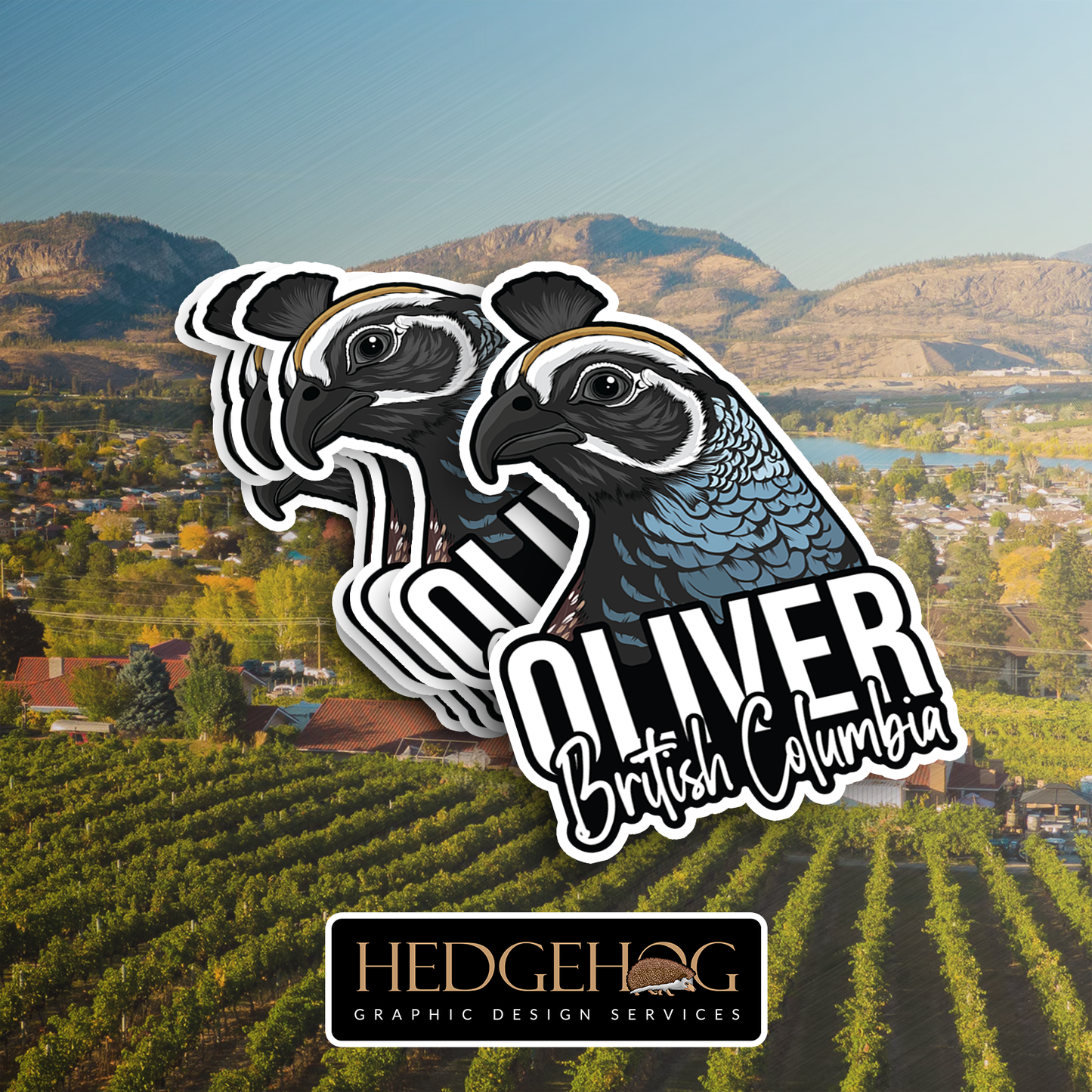 Oliver Sticker 3 (Pack of 25)