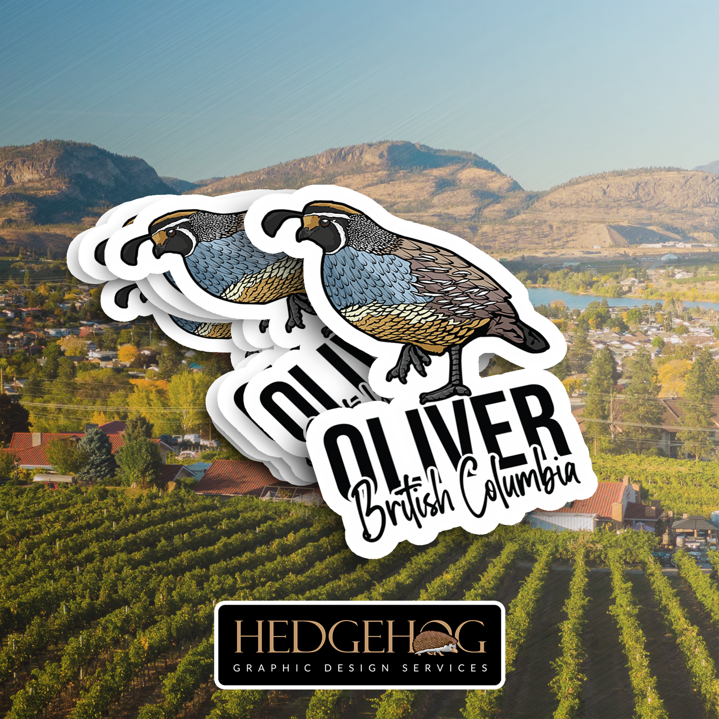 Oliver Sticker 7 (Pack of 25)
