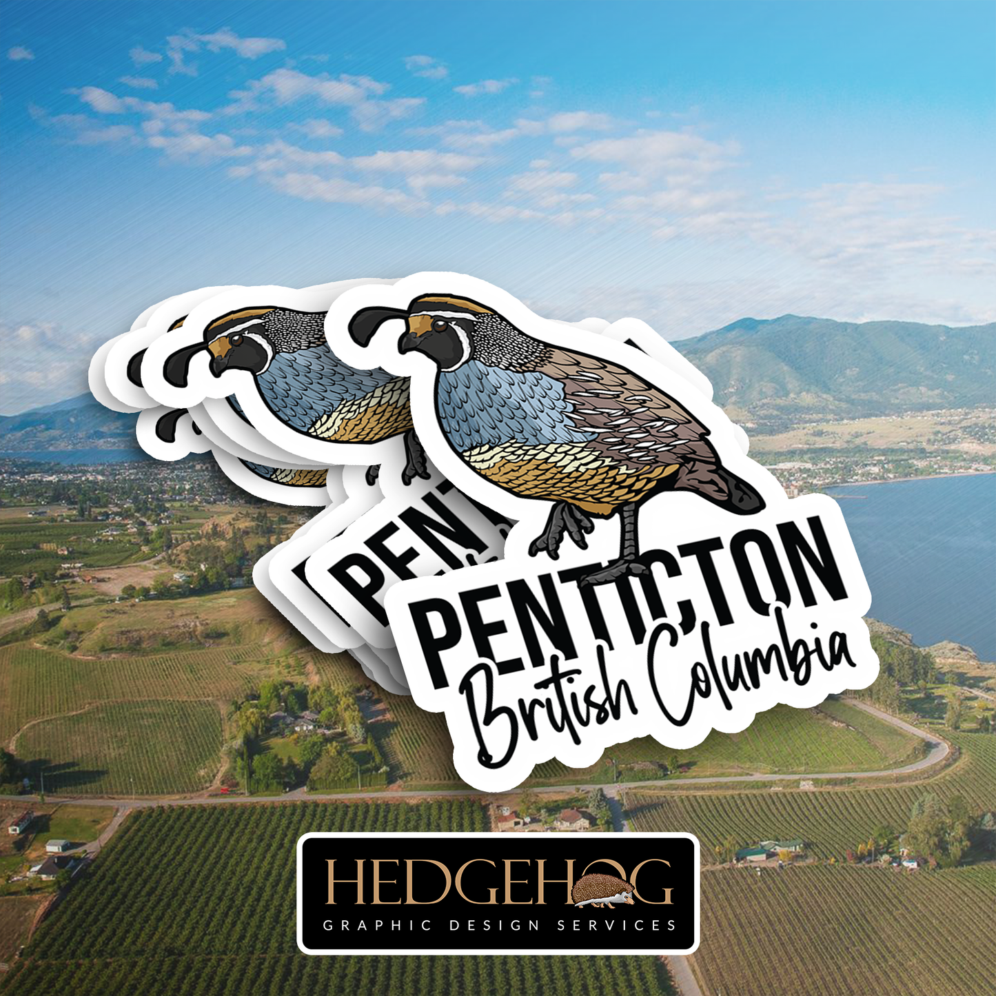 Penticton Quail (Pack of 25)